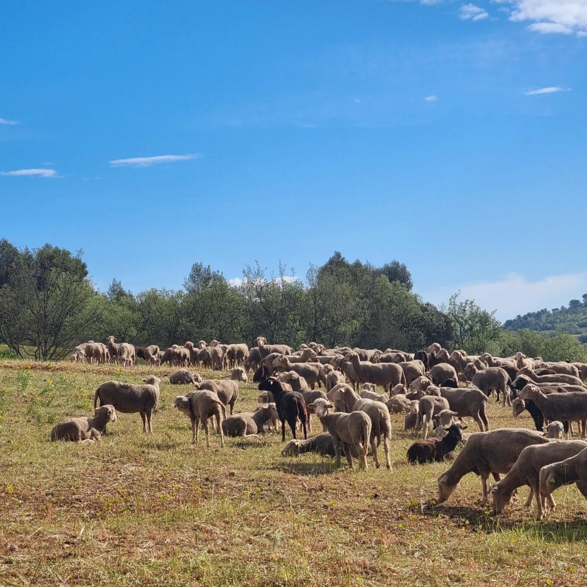 L'Oustaou Du Luberon Et Spa Villelaure Exterior foto